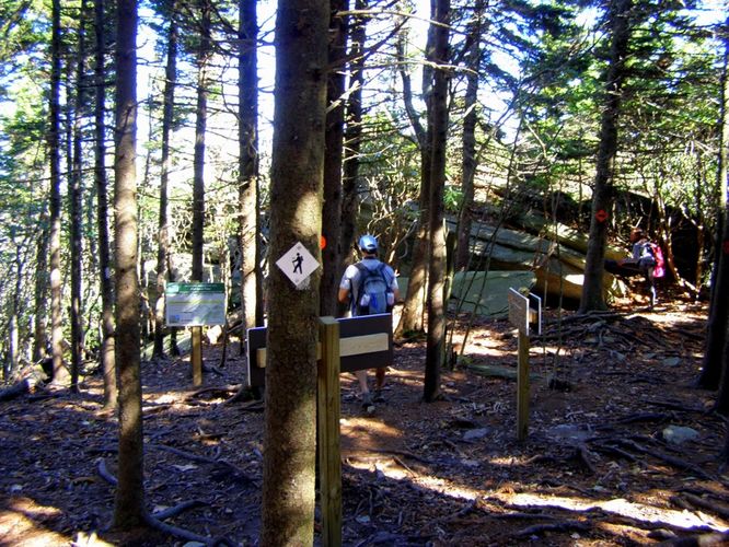 Picture 15 of Grandfather Mountain and Daniel Boone Hike 101714