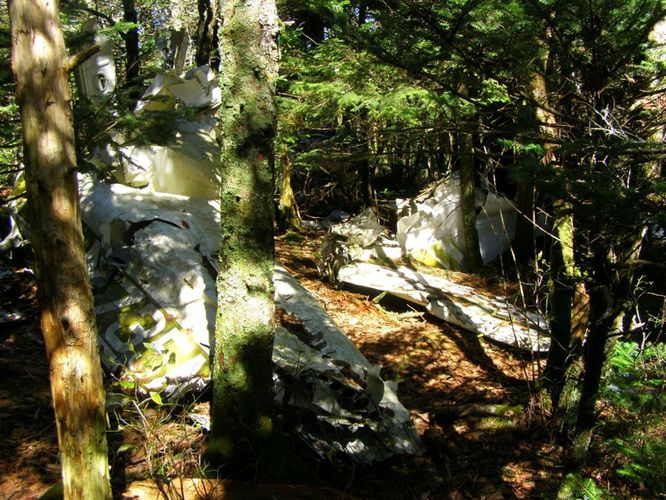 Picture 21 of Grandfather Mountain and Daniel Boone Hike 101714