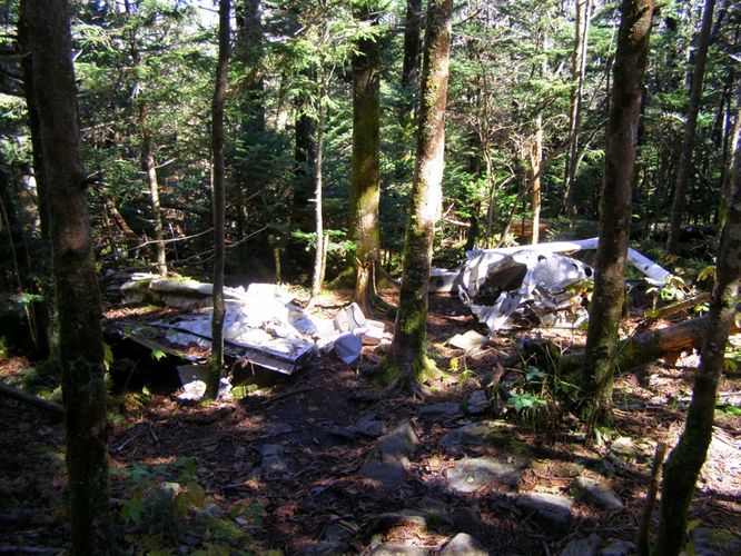 Picture 22 of Grandfather Mountain and Daniel Boone Hike 101714