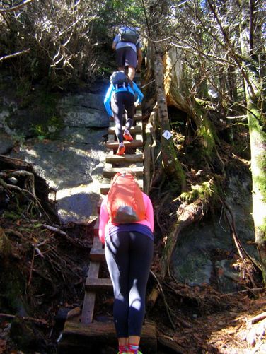 Picture 23 of Grandfather Mountain and Daniel Boone Hike 101714