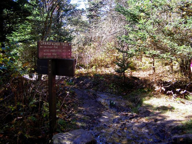 Picture 27 of Grandfather Mountain and Daniel Boone Hike 101714