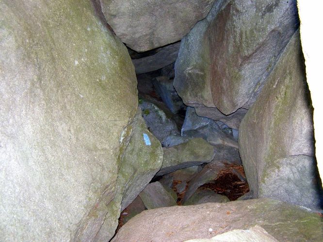 Picture 46 of Grandfather Mountain and Daniel Boone Hike 101714
