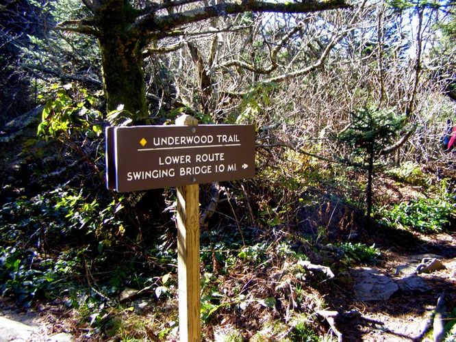 Picture 47 of Grandfather Mountain and Daniel Boone Hike 101714