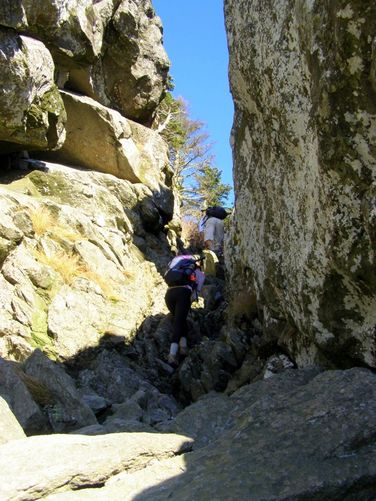 Picture 62 of Grandfather Mountain and Daniel Boone Hike 101714