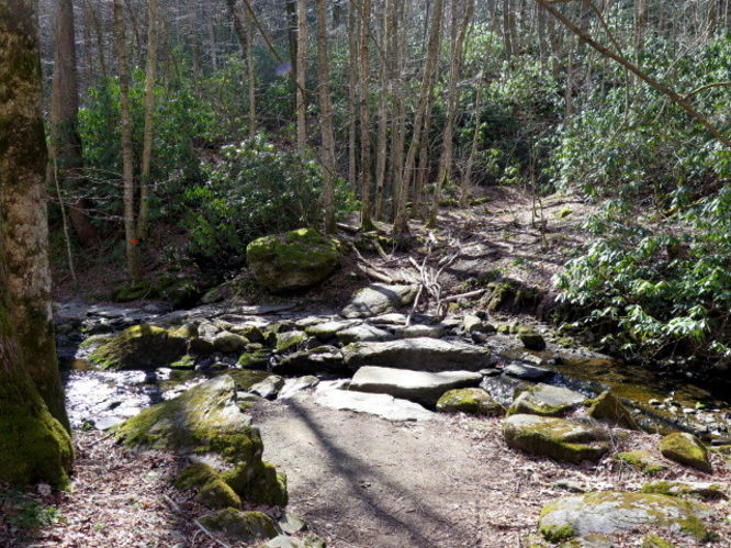 Picture 16 of Grandfather Mountain via Profile Trail 032216