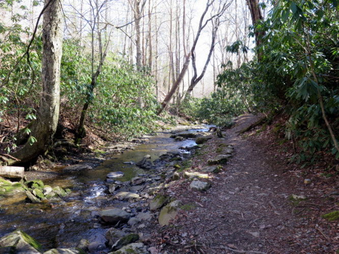 Picture 17 of Grandfather Mountain via Profile Trail 032216