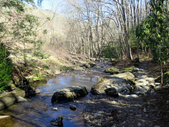 Picture 19 of Grandfather Mountain via Profile Trail 032216