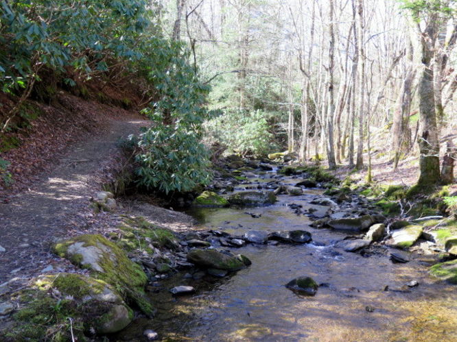 Picture 20 of Grandfather Mountain via Profile Trail 032216