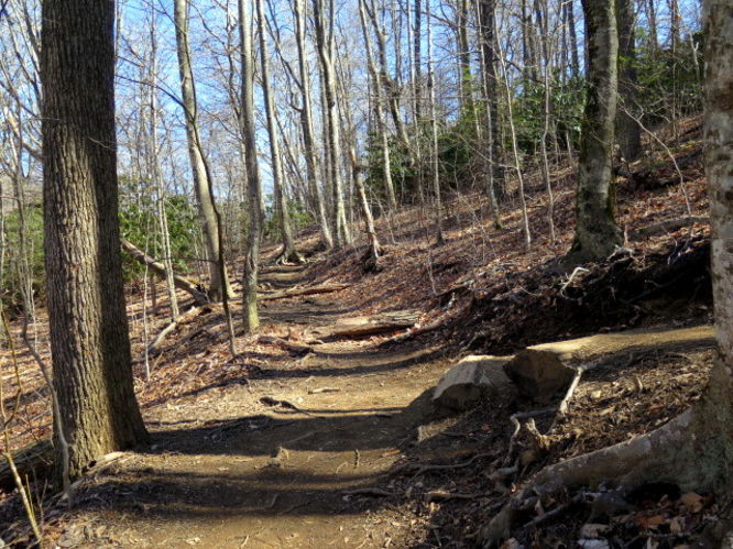 Picture 21 of Grandfather Mountain via Profile Trail 032216