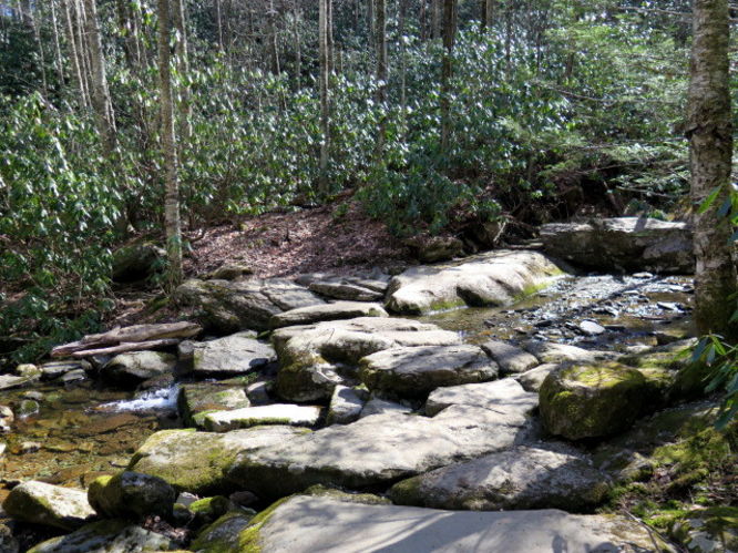 Picture 22 of Grandfather Mountain via Profile Trail 032216