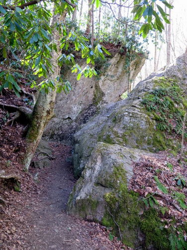 Picture 23 of Grandfather Mountain via Profile Trail 032216