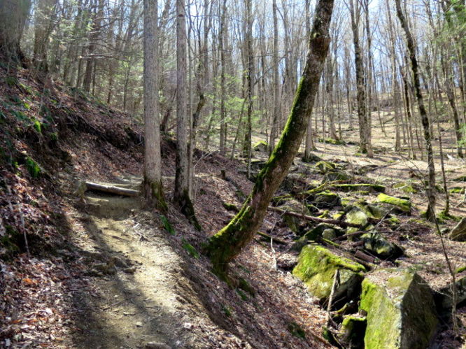 Picture 24 of Grandfather Mountain via Profile Trail 032216