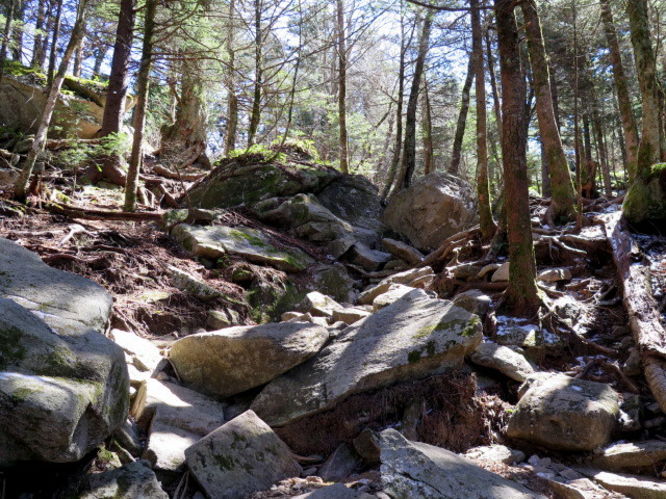 Picture 34 of Grandfather Mountain via Profile Trail 032216