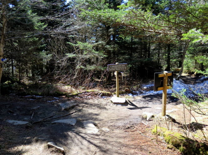 Picture 35 of Grandfather Mountain via Profile Trail 032216