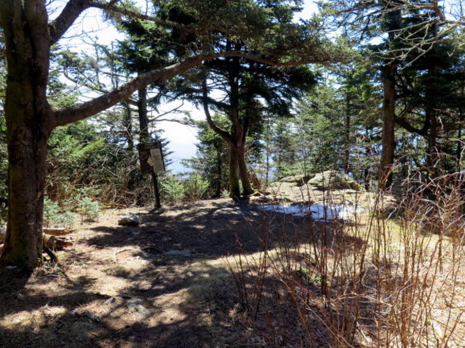 Picture 36 of Grandfather Mountain via Profile Trail 032216