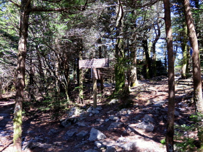 Picture 37 of Grandfather Mountain via Profile Trail 032216