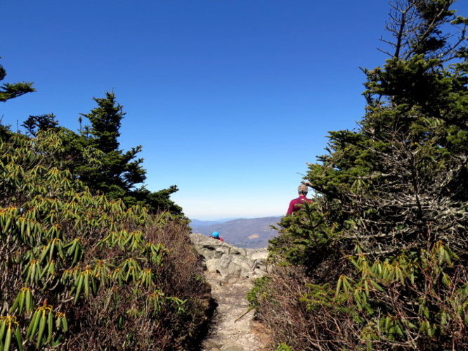 Picture 41 of Grandfather Mountain via Profile Trail 032216