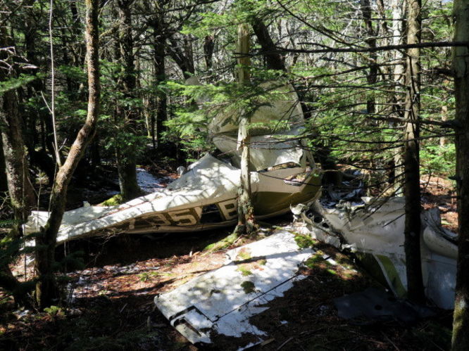 Picture 50 of Grandfather Mountain via Profile Trail 032216