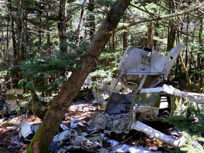 Picture 51 of Grandfather Mountain via Profile Trail 032216