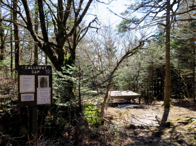 Picture 52 of Grandfather Mountain via Profile Trail 032216