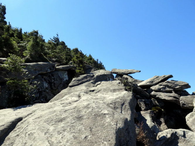 Picture 57 of Grandfather Mountain via Profile Trail 032216