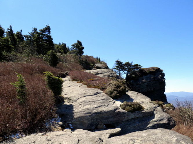 Picture 62 of Grandfather Mountain via Profile Trail 032216