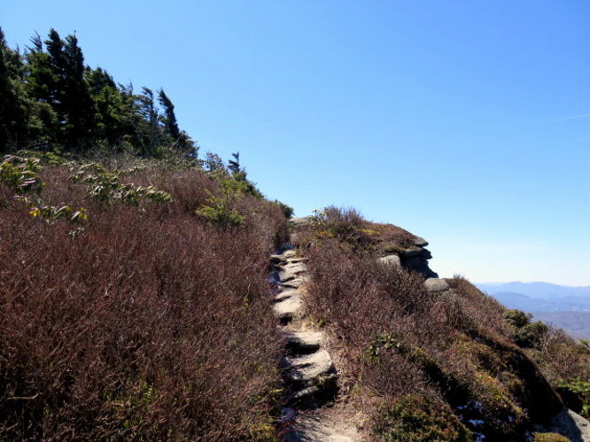 Picture 63 of Grandfather Mountain via Profile Trail 032216