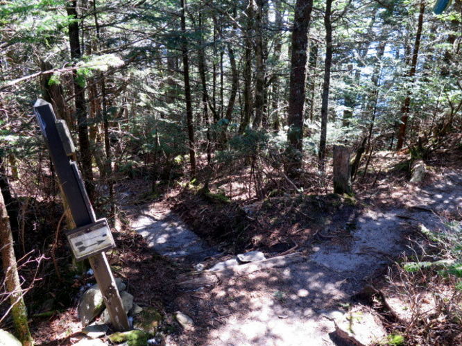 Picture 67 of Grandfather Mountain via Profile Trail 032216
