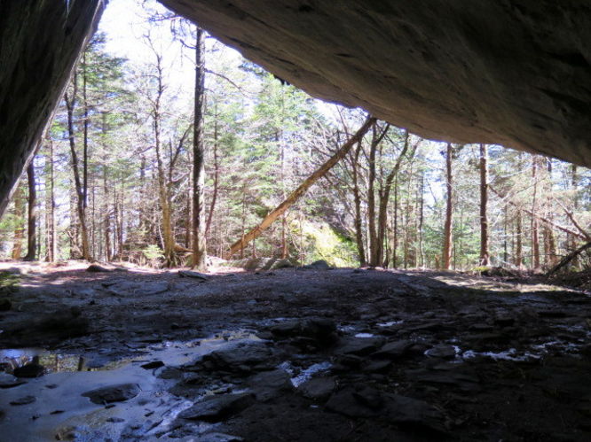 Picture 68 of Grandfather Mountain via Profile Trail 032216