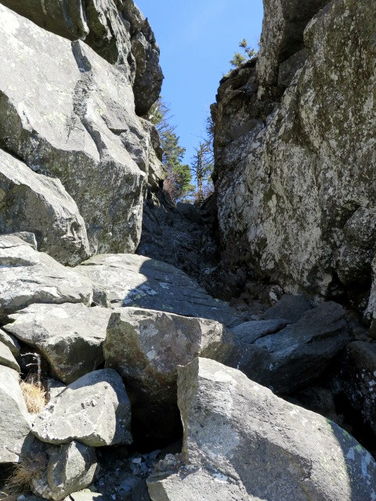 Picture 79 of Grandfather Mountain via Profile Trail 032216