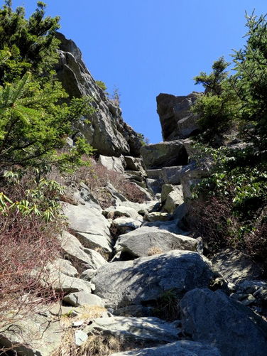 Picture 80 of Grandfather Mountain via Profile Trail 032216