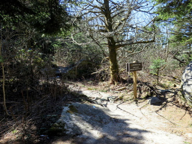 Picture 84 of Grandfather Mountain via Profile Trail 032216