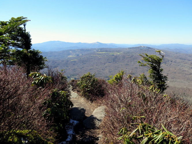 Picture 96 of Grandfather Mountain via Profile Trail 032216