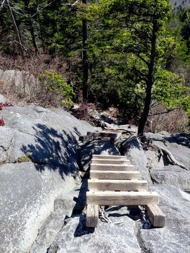 Picture 104 of Grandfather Mountain via Profile Trail 032216