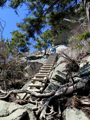 Picture 105 of Grandfather Mountain via Profile Trail 032216