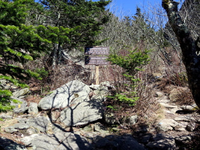 Picture 107 of Grandfather Mountain via Profile Trail 032216
