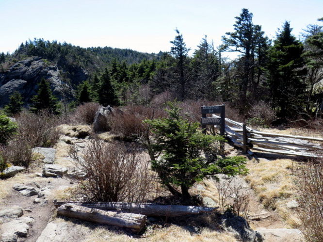 Picture 108 of Grandfather Mountain via Profile Trail 032216