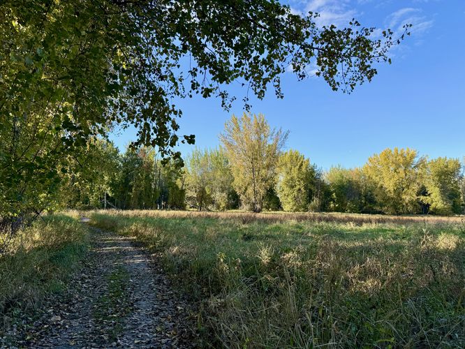 Trail leads to Grape Island from the Island of the Commune