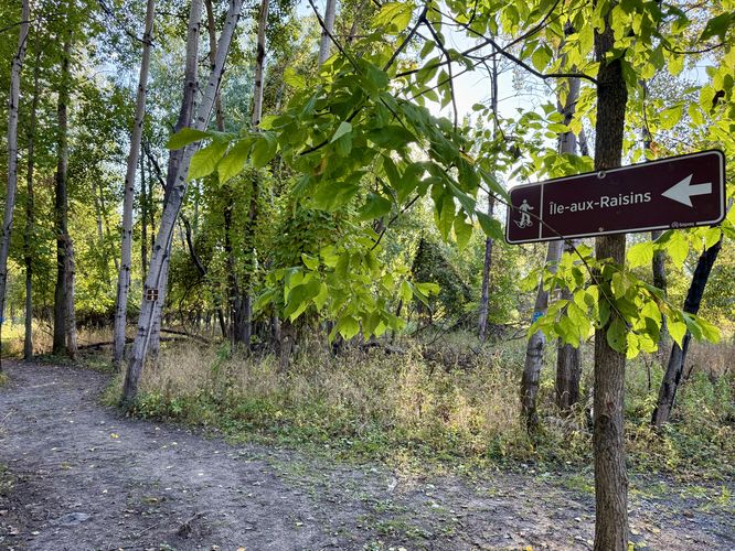 Trail sign for Grape Island hiking