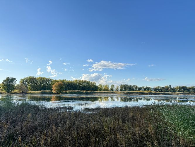 View of the Saint Lawrence River