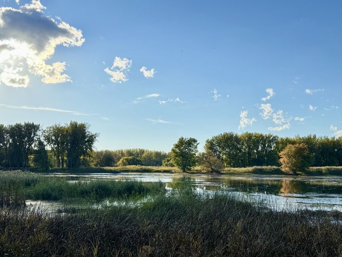Default image for Grape Island Loop, a 1.5-mile trail in Boucherville, QC (CA)