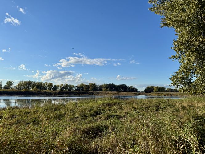 View of the Saint Lawrence River