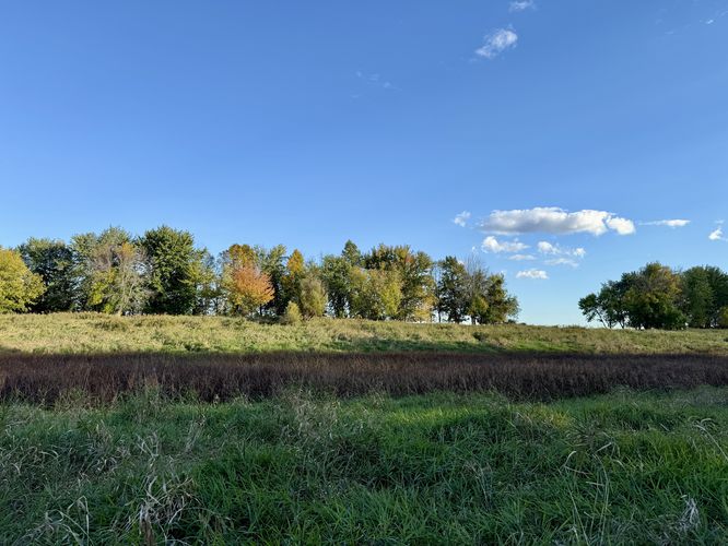 Open field alongside Grape Island the Island of the Commune