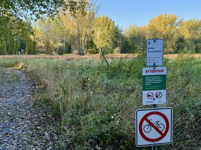 Grape Island trailhead