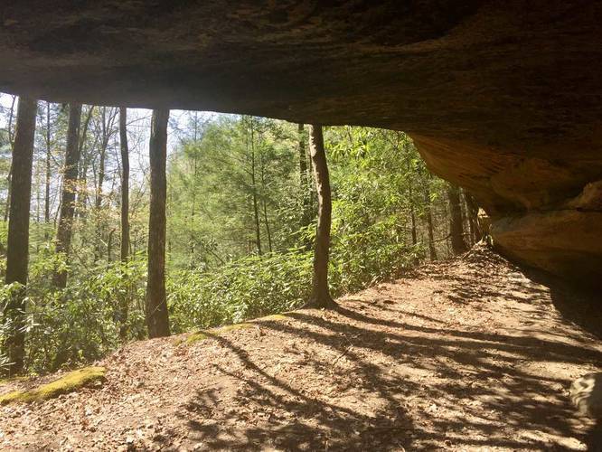 Hidden cave beneath the trail