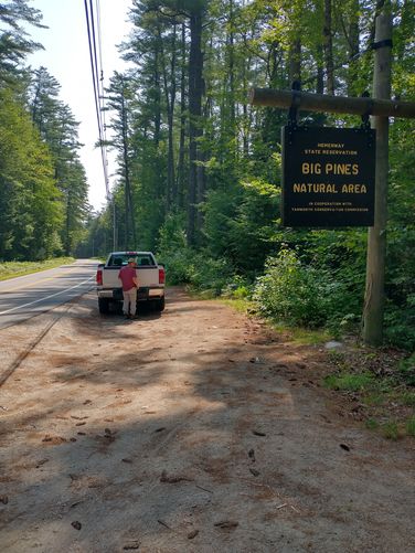 Roadside Parking near trailhead