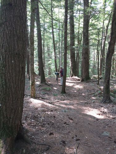 Mailbox for maps were empty at our visit