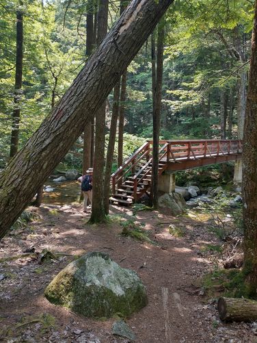 Sturdy Bridge over the Swift River