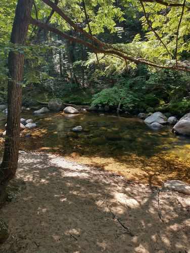 View of the Swift River 