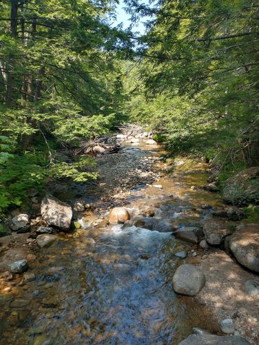 View of the Swift River